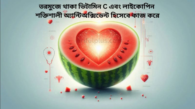 তরমুজের উপকারিতা ও অপকারিতা - তরমুজ ভায়াগ্রা