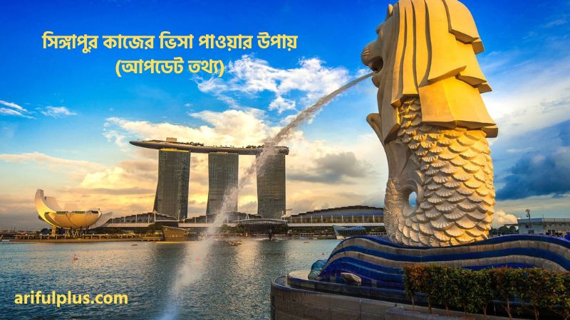 সিঙ্গাপুর কাজের ভিসা পাওয়ার উপায়