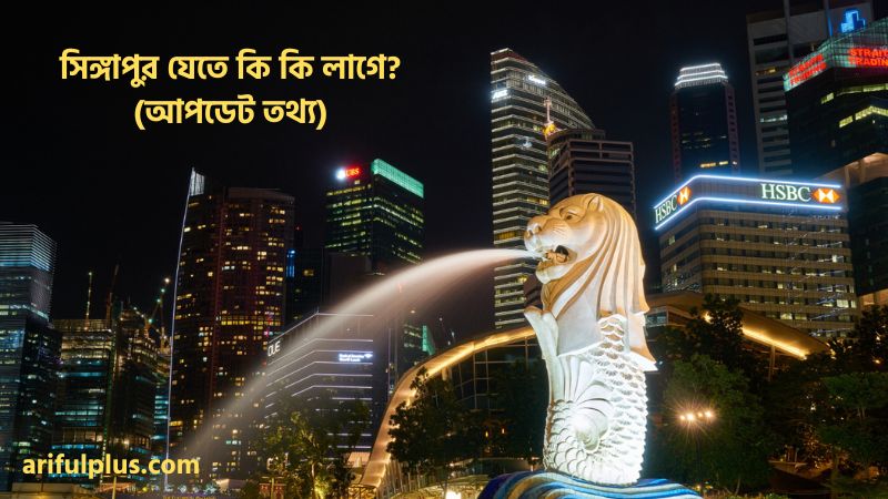 সিঙ্গাপুর যেতে কি কি লাগে