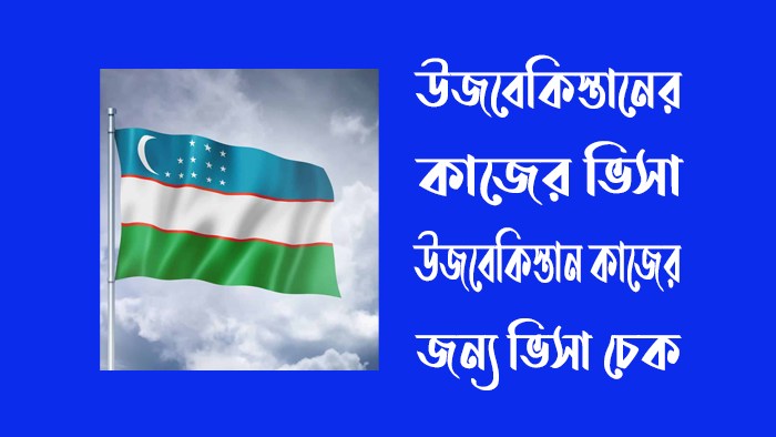 উজবেকিস্তান কাজের ভিসা