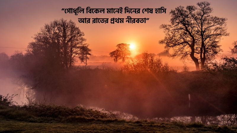 গোধূলি বিকেল নিয়ে উক্তি