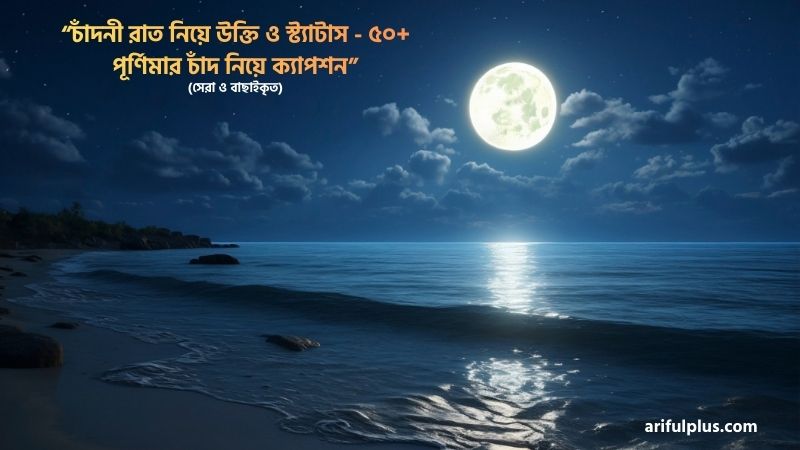 চাঁদনী রাত নিয়ে উক্তি