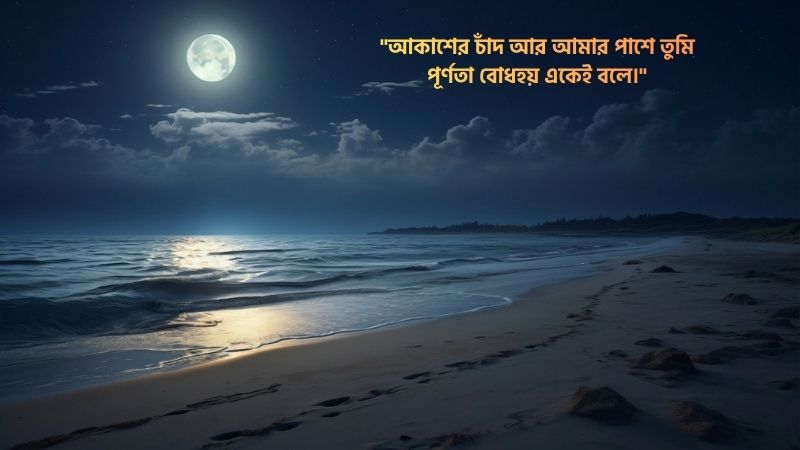 চাঁদনী রাত নিয়ে স্ট্যাটাস