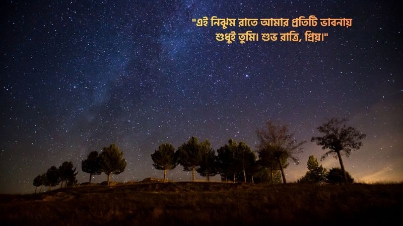 শুভ রাত্রি রোমান্টিক ক্যাপশন