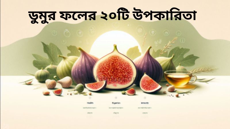 ডুমুর ফলের ২০টি উপকারিতা
