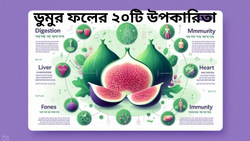 ডুমুর ফলের ২০টি উপকারিতা
