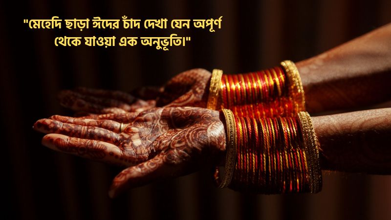 মেহেদী নিয়ে উক্তি