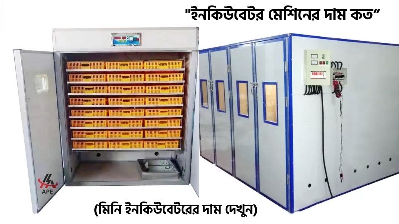 ইনকিউবেটর মেশিনের দাম কত